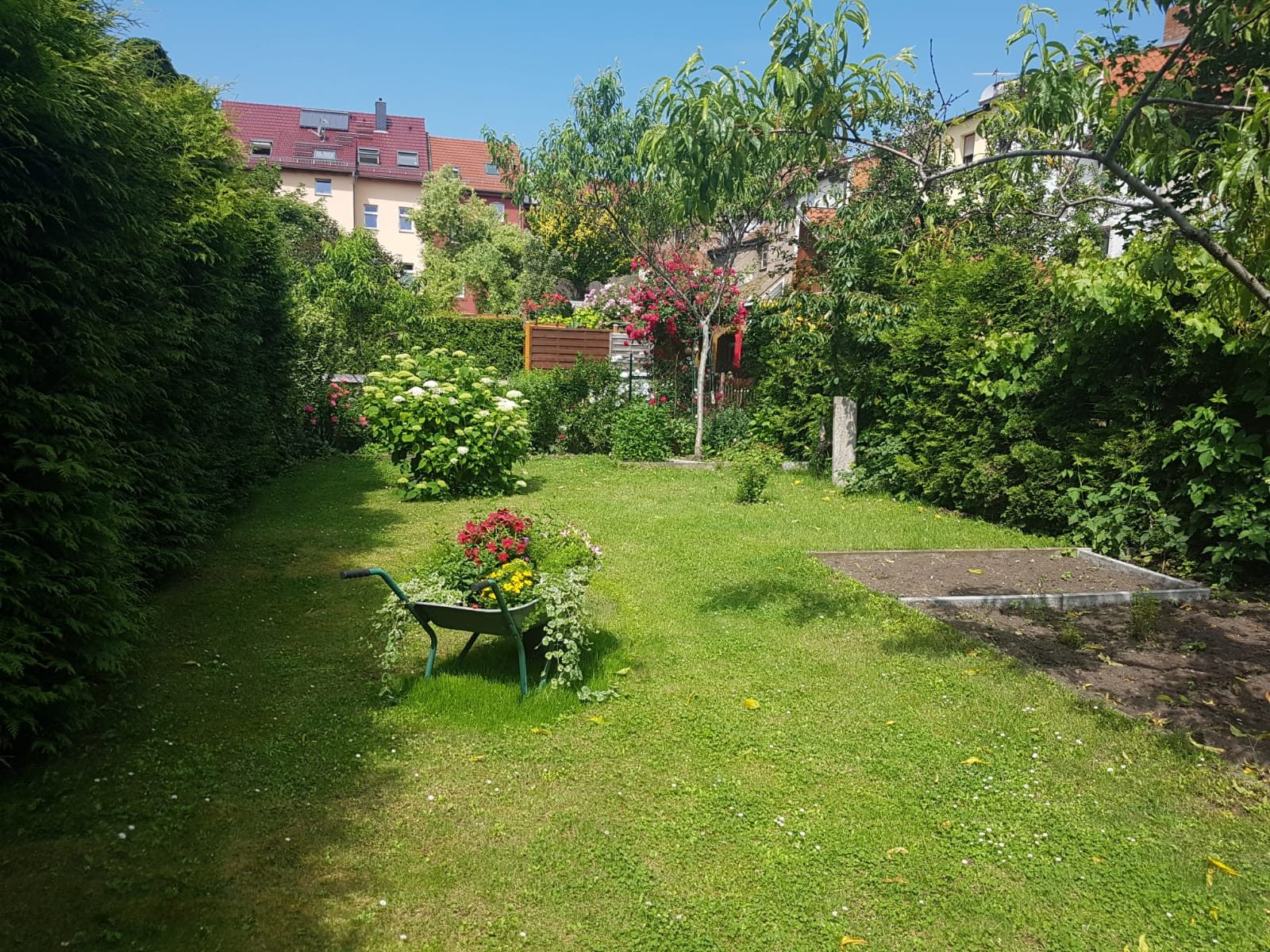IMG-20211012-WA0057