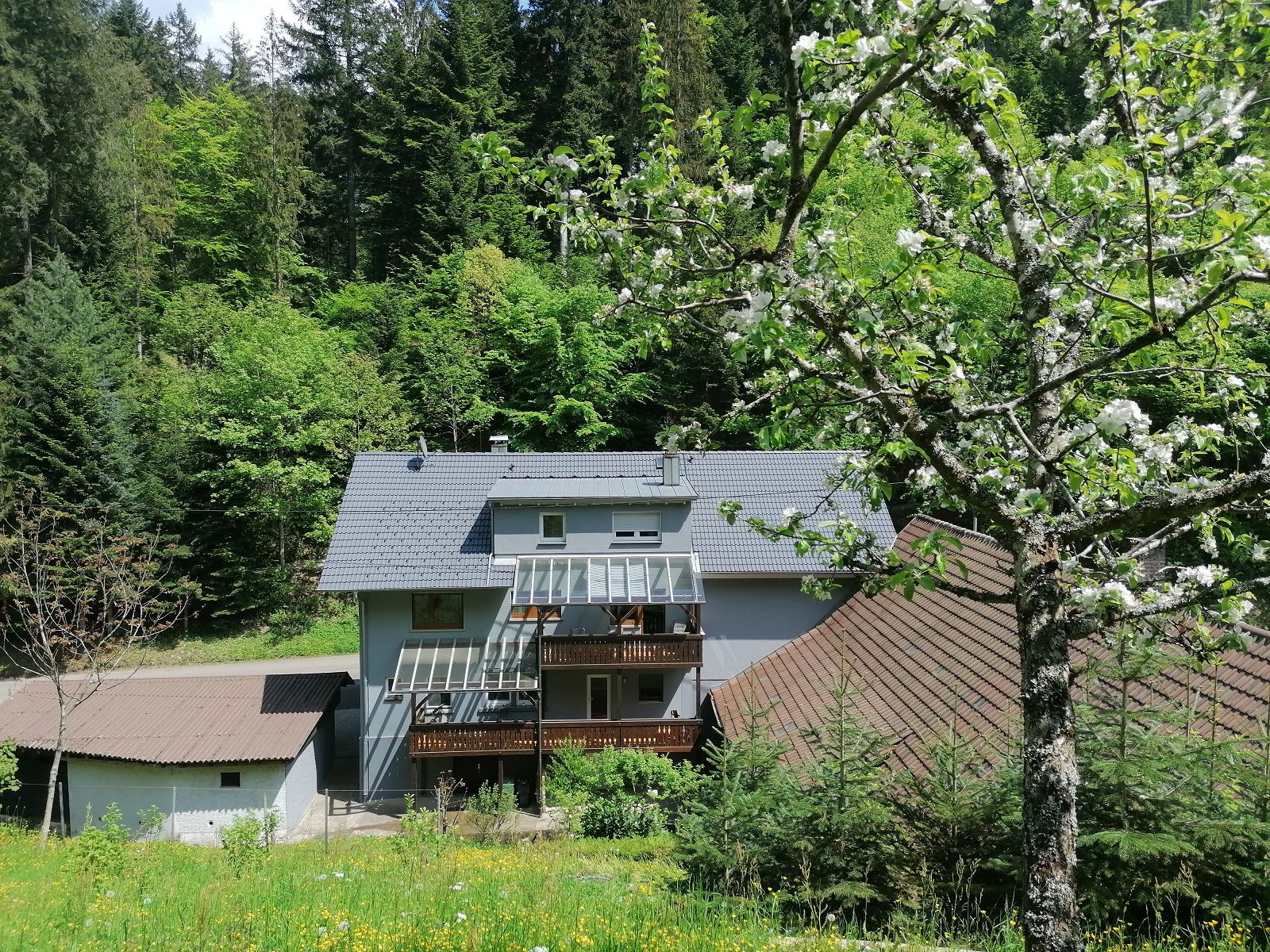 3 Hausansicht