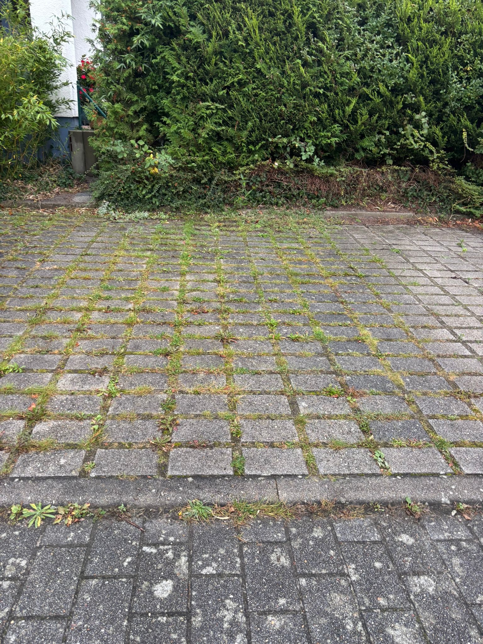 Ulmensteig1_13