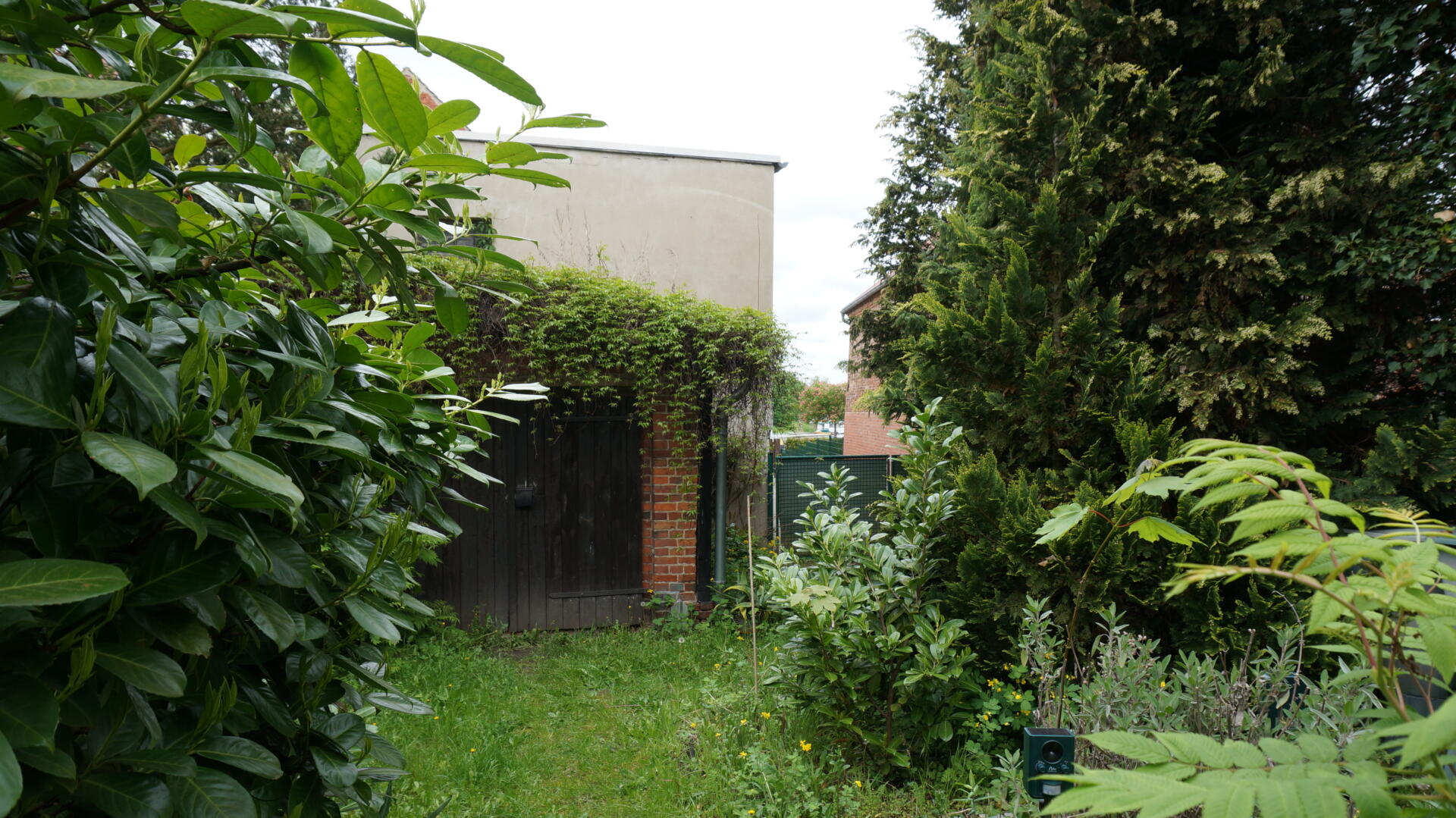 Garten mit Blick auf die Garage