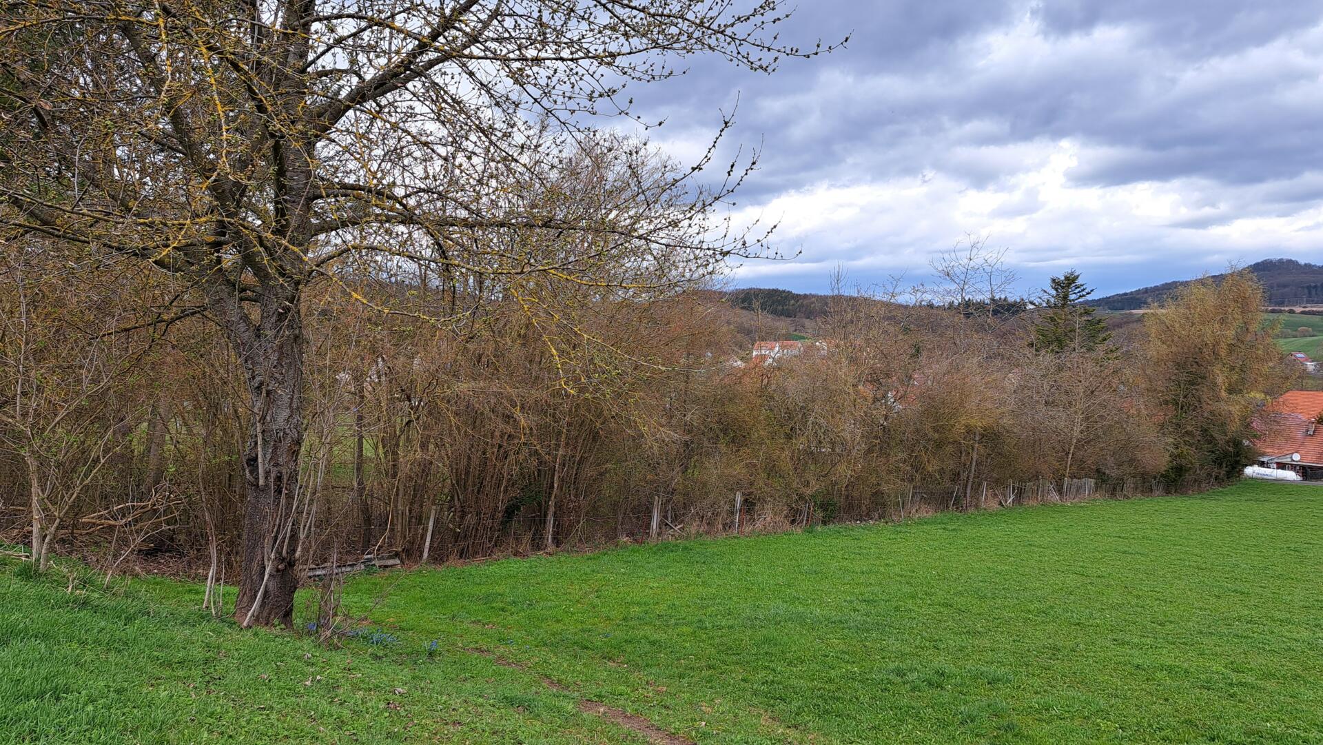 20260405_134308