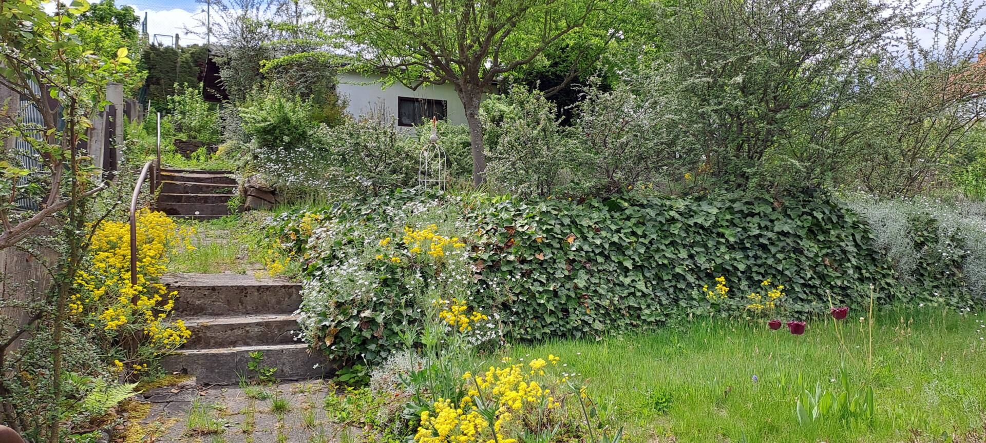 16-Garten