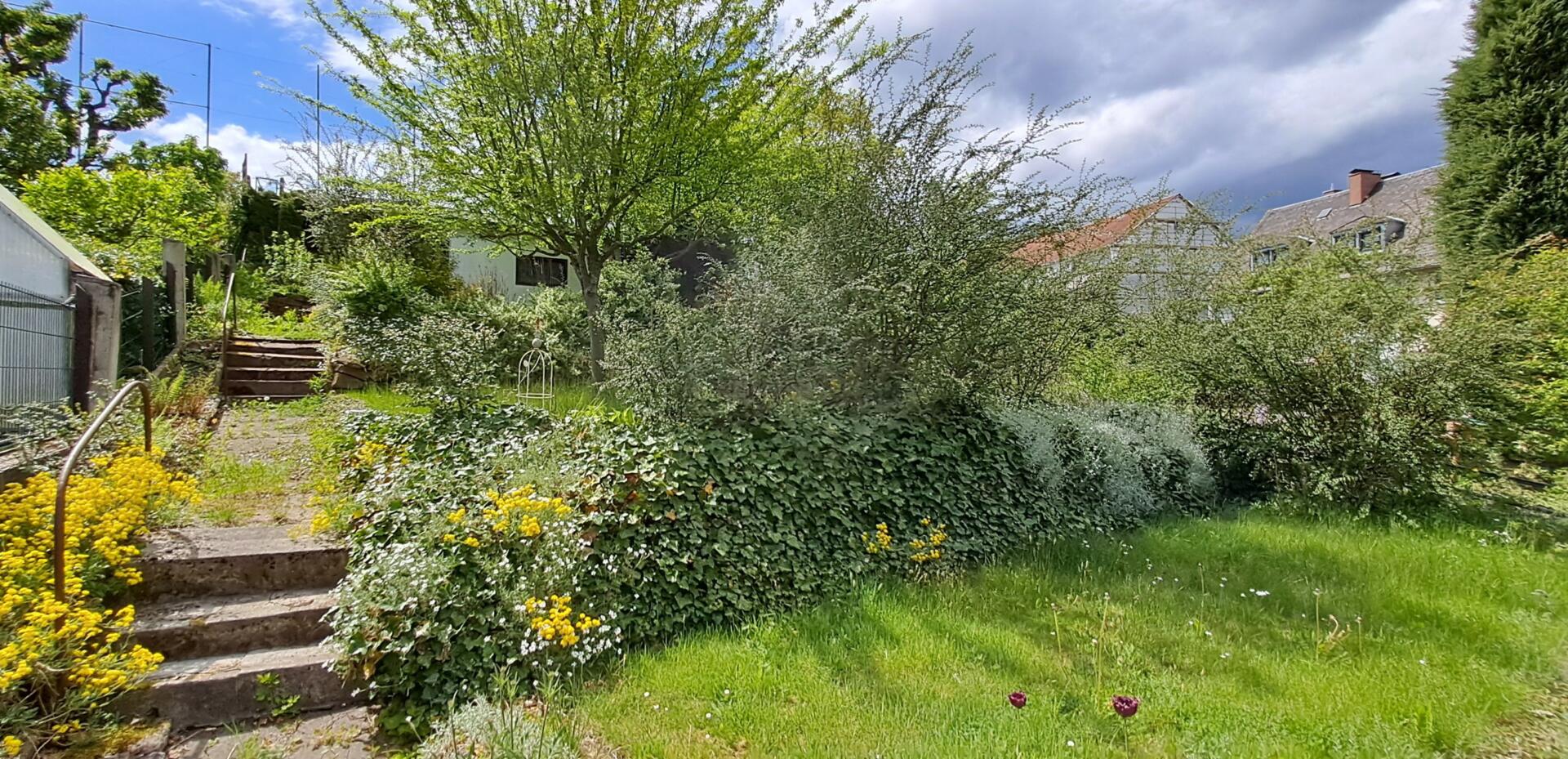 17-Garten