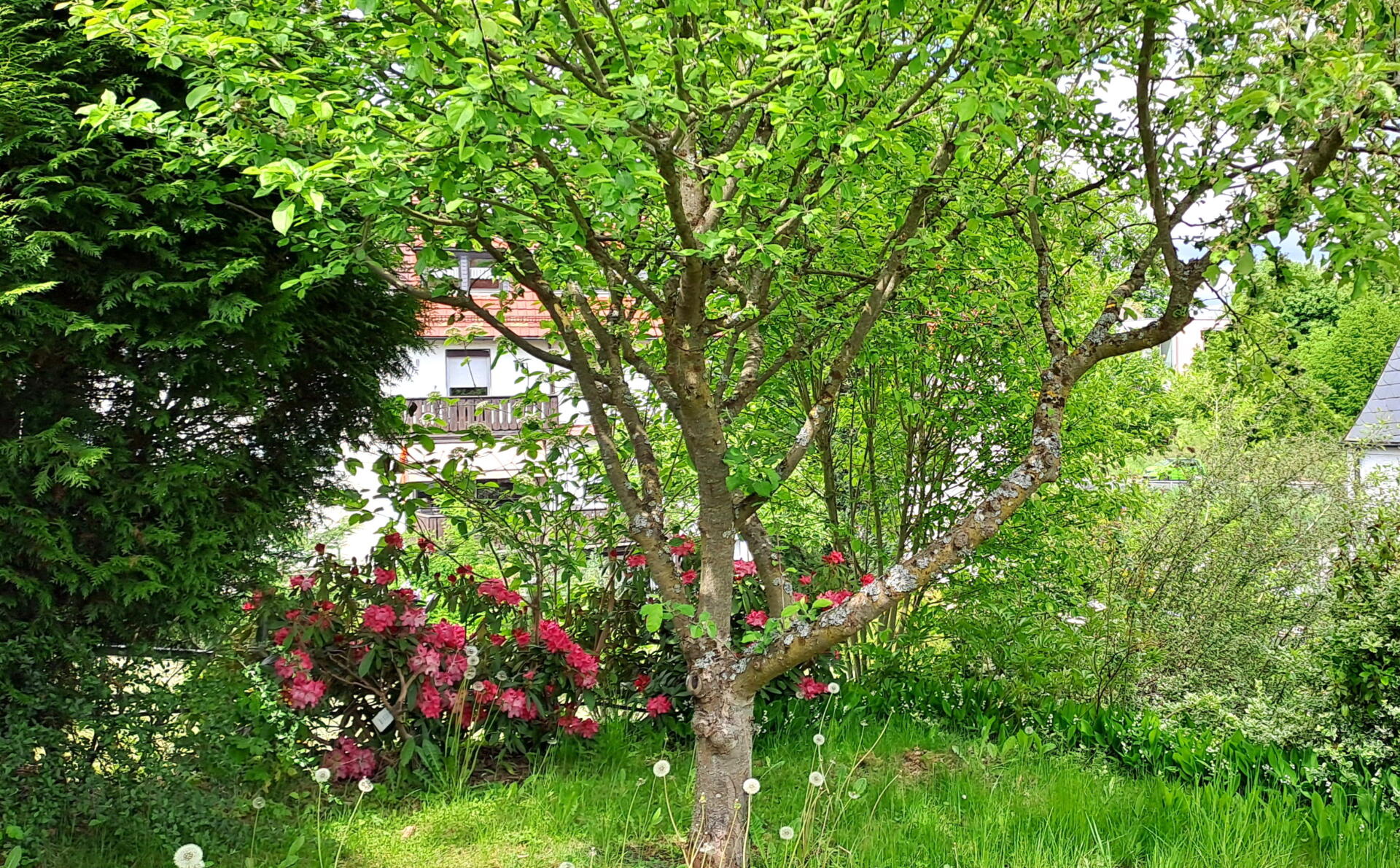21-Garten